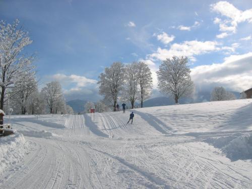 Aparthotel Alpenbad à Ramsau am Dachstein Extérieur photo